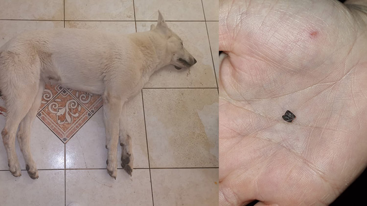 V Mostkovicích se střílí!