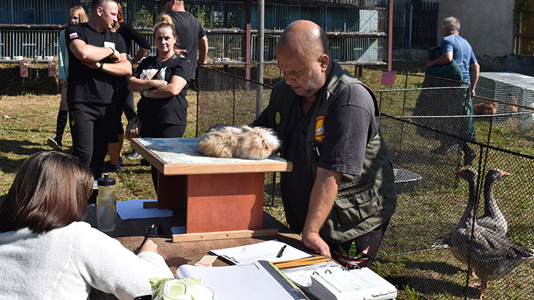 Mazlíčkiáda potěšila nejen děti, vyhrál VYDRÍSEK