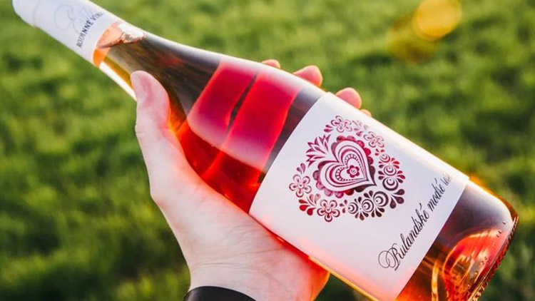 Suché neznamená kyselé aneb jak poznat dobré víno