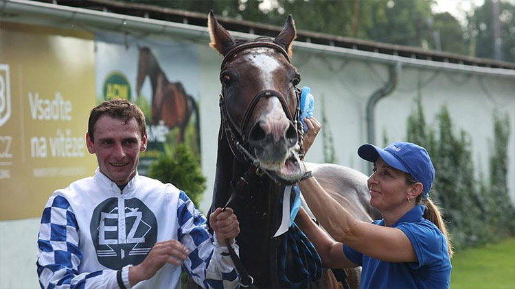 Blíží se Velká pardubická. Komu budeme fandit?