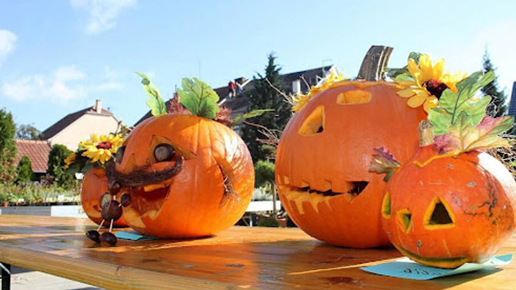 Dýňové slavnosti v Kostelci na Hané