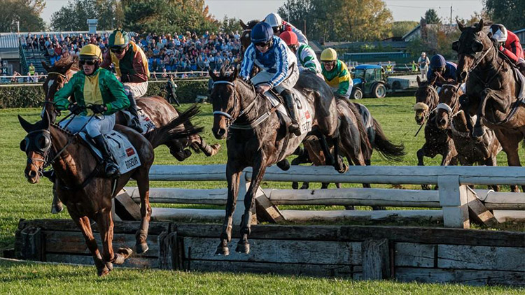 Narodil se na Srdéčku, vyhrávat umí. Co ukáže Lombargini ve Velké pardubické?