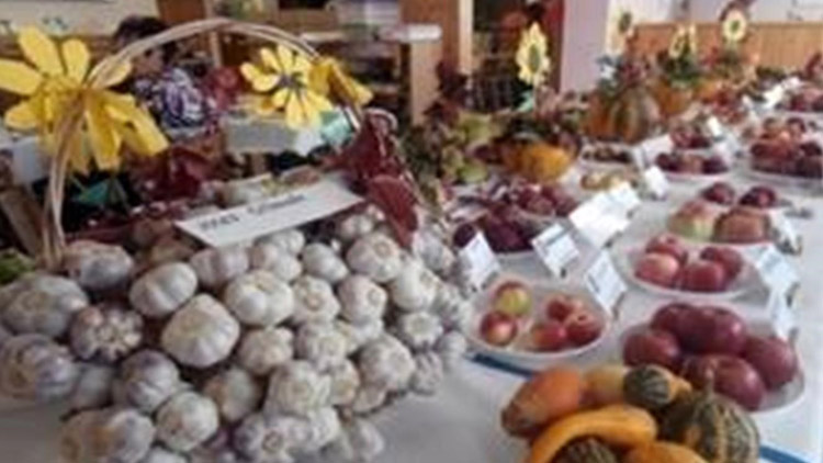 Okresní výstava ovoce, zeleniny a květin v Čelčicích