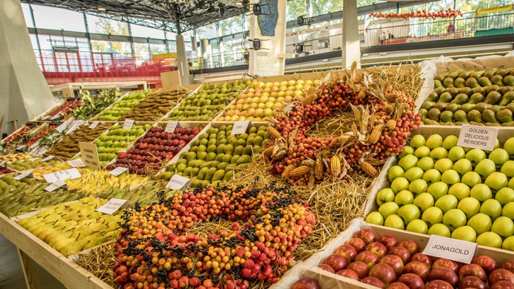 Soutěž o vstupenky na podzimní Floru