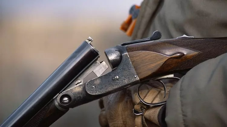 Do psů střílí jen zbabělci