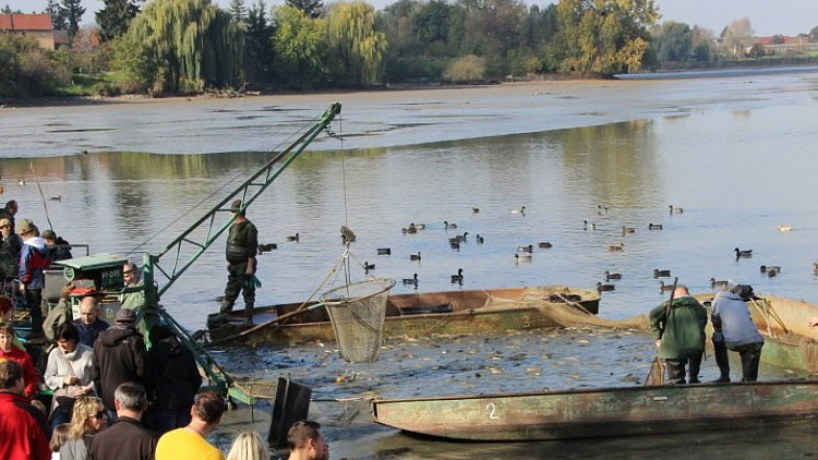 Tovačovská akce roku: rybáři zvou na výlov