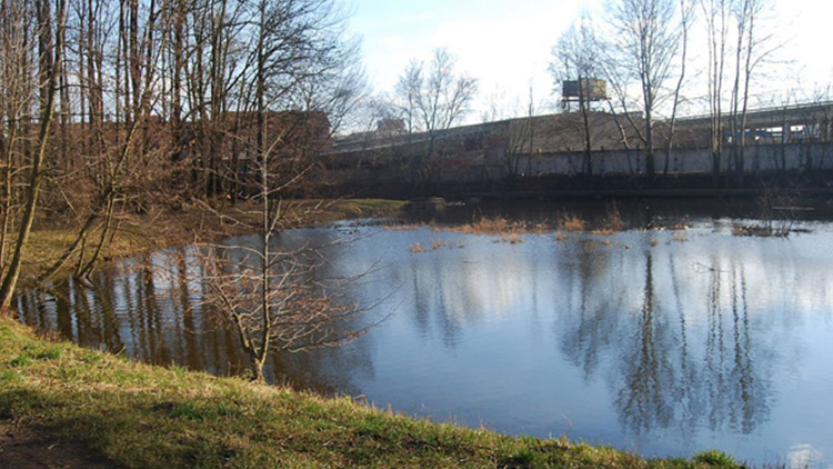 Pivovarský rybníček konečně projde revitalizací