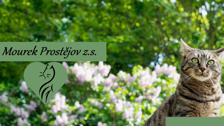 Mourek skončil: Lidi na nás činili psychický nátlak