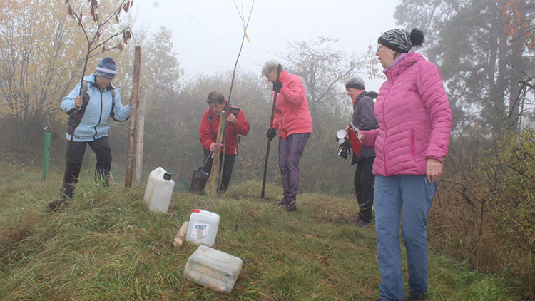 Na Vápenici letos sázely stromy hlavně babičky