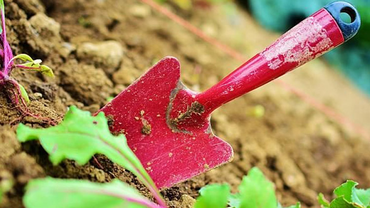 Je to tu zase. Sucho!