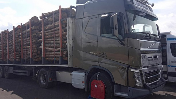 Přetížené polské kamiony se dřevem trápí Protivanov i Vícov 