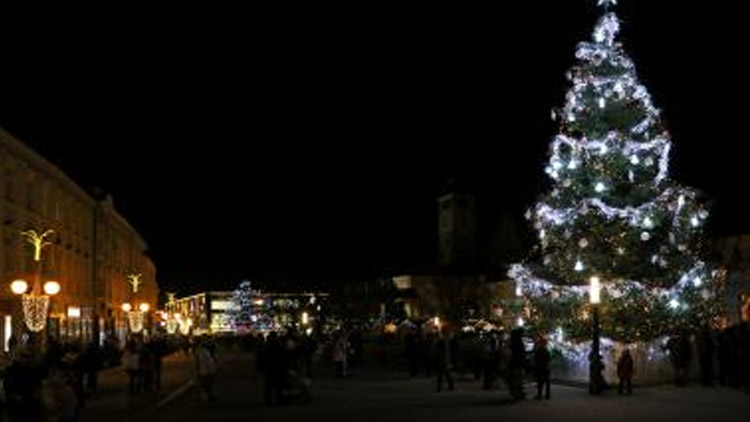 ANKETA: Jméno pro vánoční strom opět vyberou občané v anketě