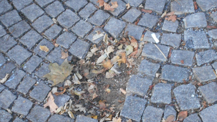 Školák se nudil, tak řádil v parku:  Vytrhával dlažbu z chodníku!