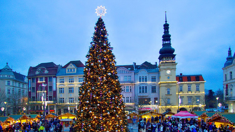 Zlaté Vánoce na blátě