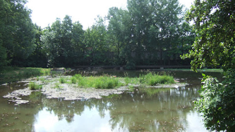 Revitalizace pivovarského rybníčku začíná