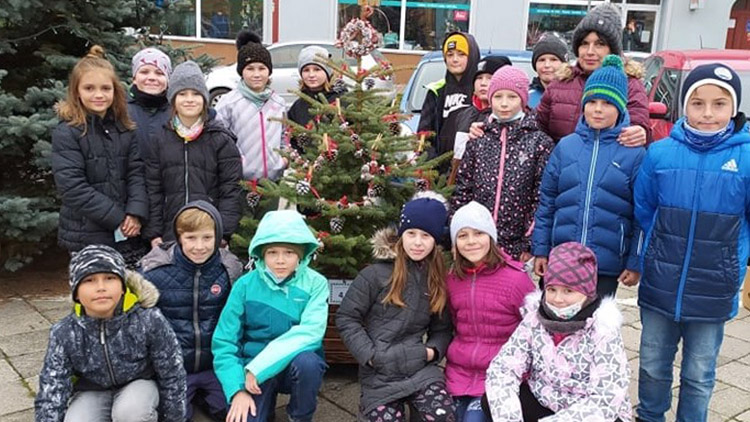 Náměstí v Konici zdobí vánoční stromky. Poprvé  