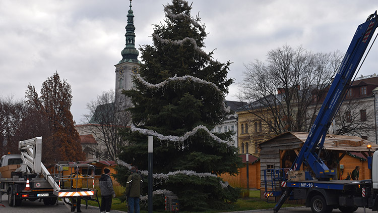 Křivý vánoční strom v Prostějově. No a co?