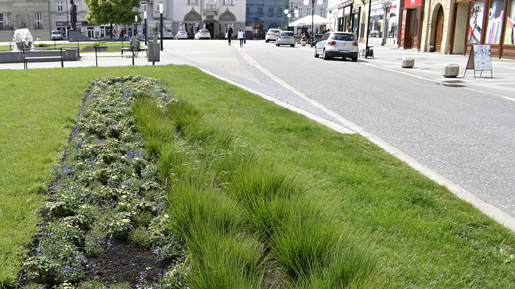 Milada Sokolová vyzývá: „Sázíme všude,  kde to jde. Neváhejte a navrhněte  další možná místa pro zeleň!“
