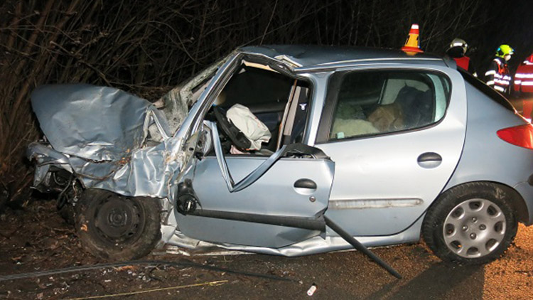 Opilá skončila ve stromě!