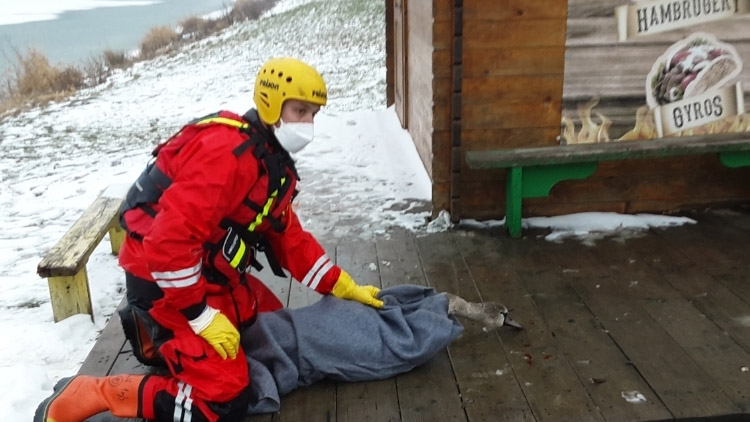 Souhrn vánočních zásahů: požár sauny či záchrana labutího mláděte