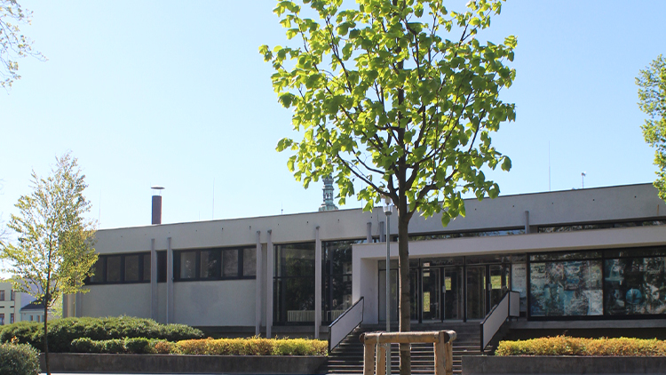 Je Prostějov pořád městem zeleně? Kritici tvrdí, že se více kácí