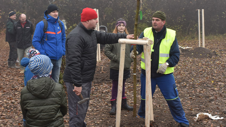 Nový „biokoridor“ se na jaře rozroste