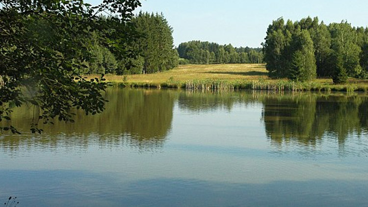 Cítit se jako v pohádce