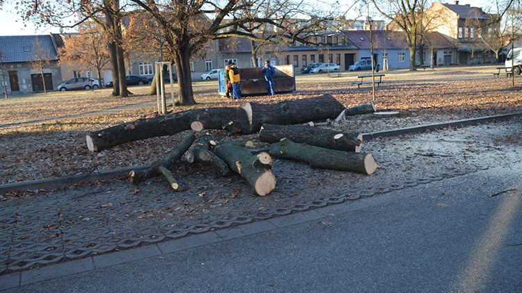Lidé z „Husáku“ zuří. Zase se tady kácelo!