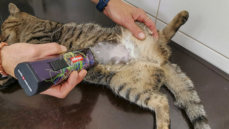 Mourek dál pokračuje v činnosti, pomáhat začal i magistrát