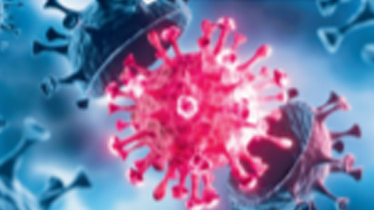 Chance ligu kosí omikron  V karanténě je už šest mužstev