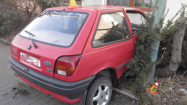 Opilou řidičku zastavily okrasné keře