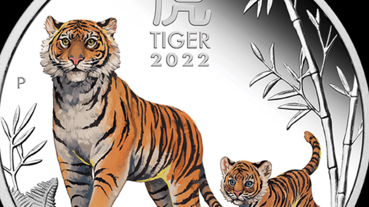 V roce Tygra půjde vše rychle: dobré, zlé i volby 