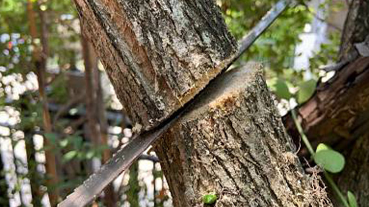 Víkendové uzavírky