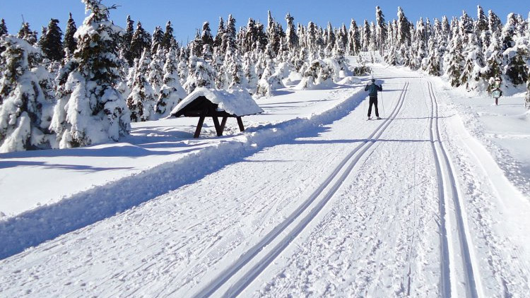 Hejtmanství podpoří údržbu běžeckých stop. Finanční příspěvek vzroste