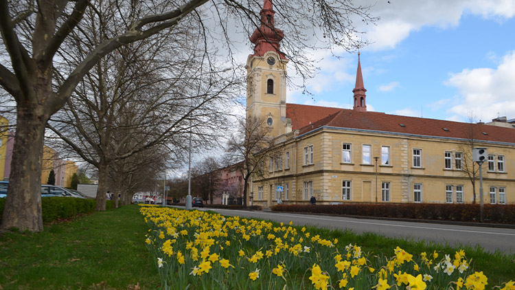 V Prostějově vysadí 230 stromů a spoustu květin