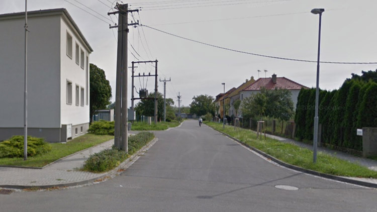 V Němčicích vykáceli 16 sakur. Proč padly?