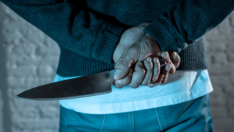 Majitel dřevěné chatky se nezalekl dvou nožů ani pistole