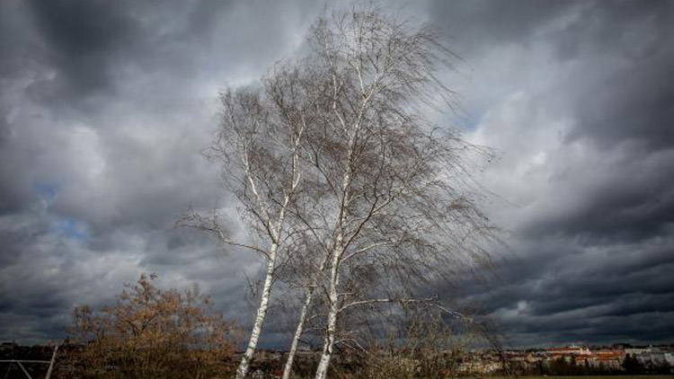 Hřbitov a městské parky budou zítra uzavřeny