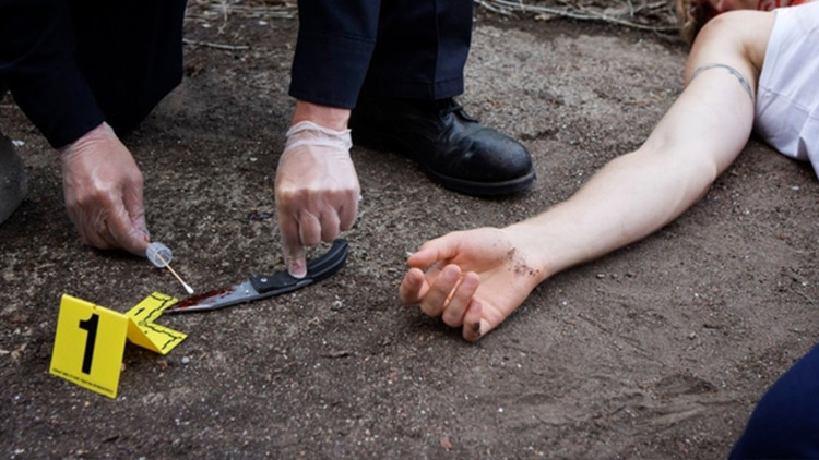 Prostějovsko vloni bez vražd