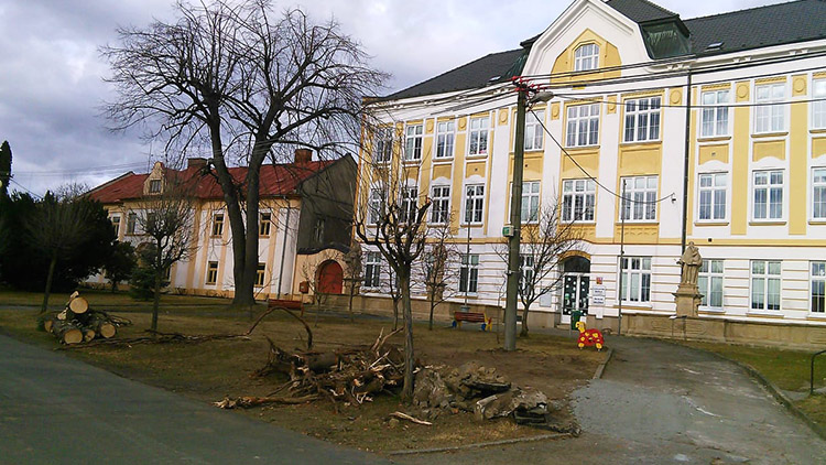 Kralice přišly o stoletou lípu i vánoční strom