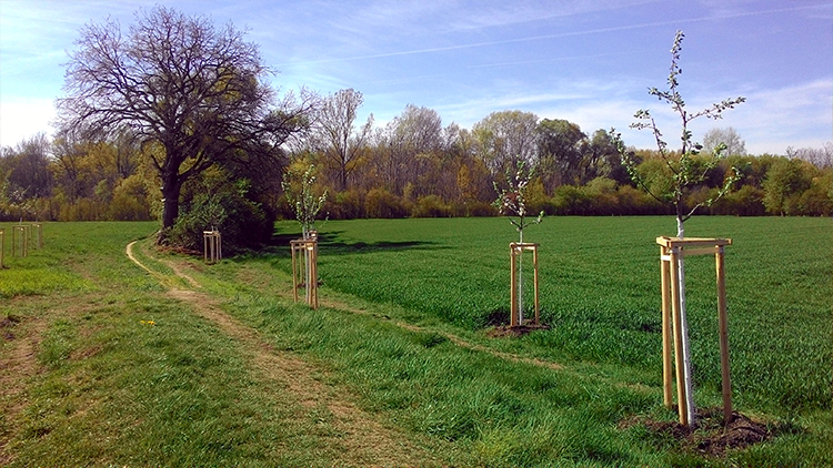 Vandalové, nebo vítr?