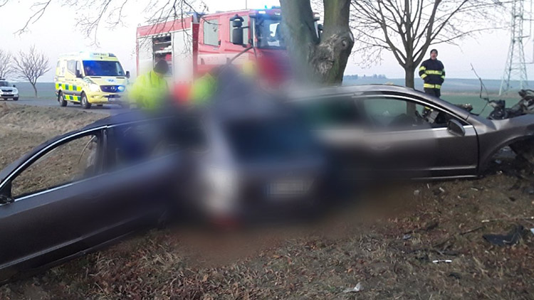 SMRŤÁK  na „staré u Olšan