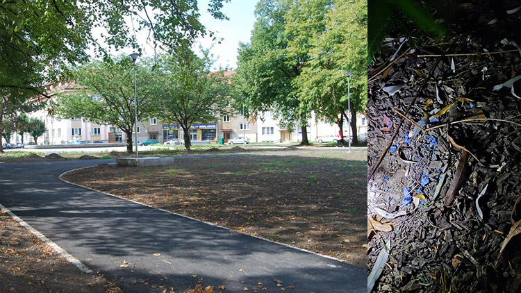 Pozor! Na „Ruďáku“ někdo záměrně tráví psy!