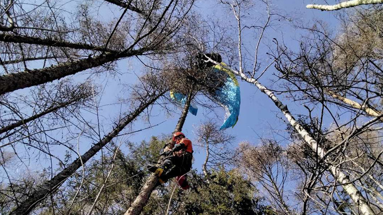 Paraglidistu i s křídlem zachránili z korun stromů přerovští hasiči-lezci