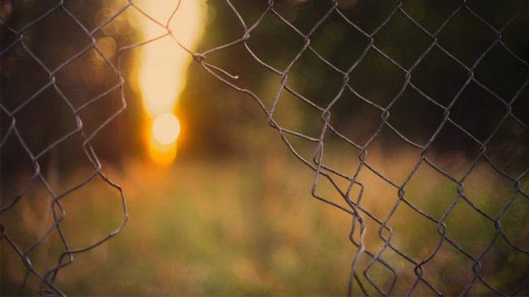 V plotě udělal díru