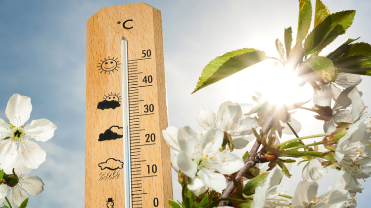 V šortkách a tílku