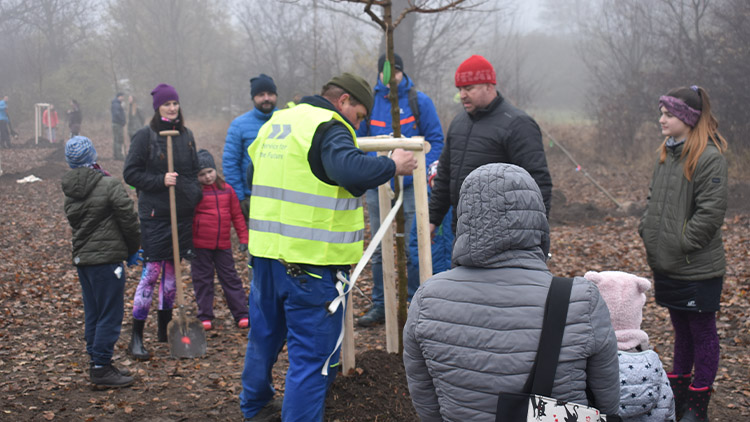 Komunitní sázení se přesune do Domamyslic