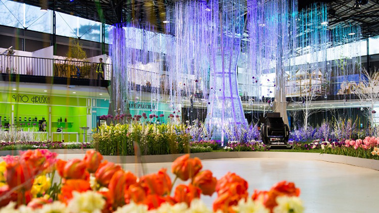 Na výstavě Flora Olomouc bude k vidění i jedinečná sbírka bonsají