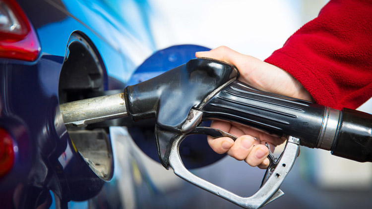 Kam pojedete letos na dovolenou?