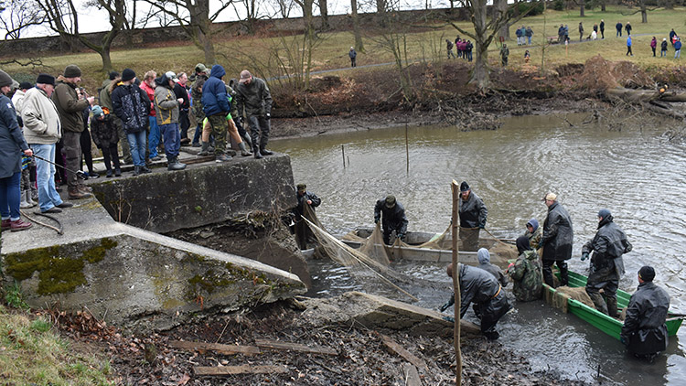 Z rybníka v zámeckém parku po 20 letech vylovili i obřího sumce